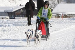 Lenk 2012 SM